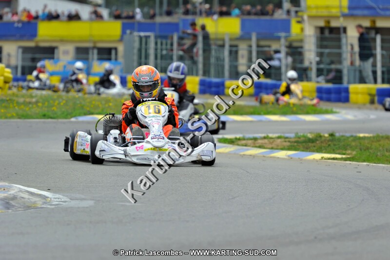 DSC_ (1594).jpg